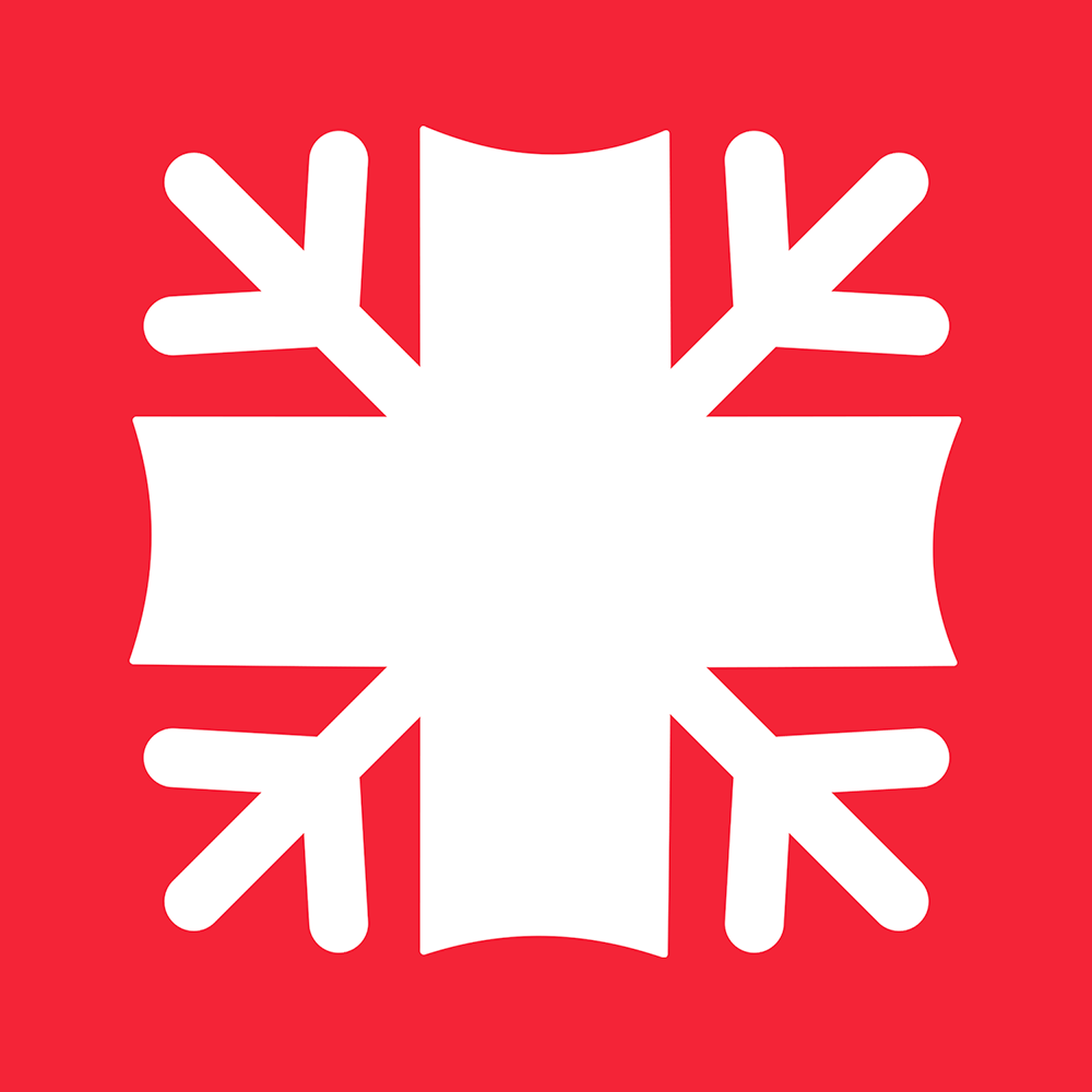 Logo Lionsnow